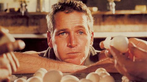 scott newman fotos|Paul Newman Was Never The Same After His Son。